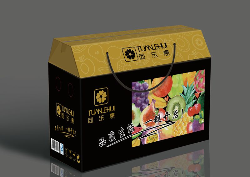 团乐惠礼盒手提袋印刷