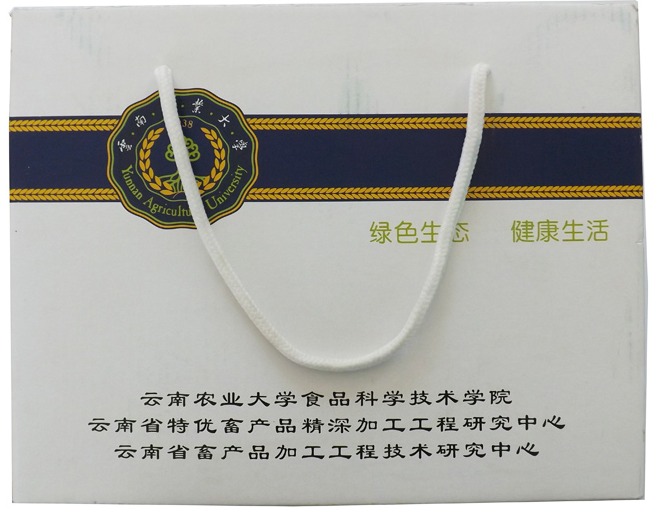 创意环保手提袋