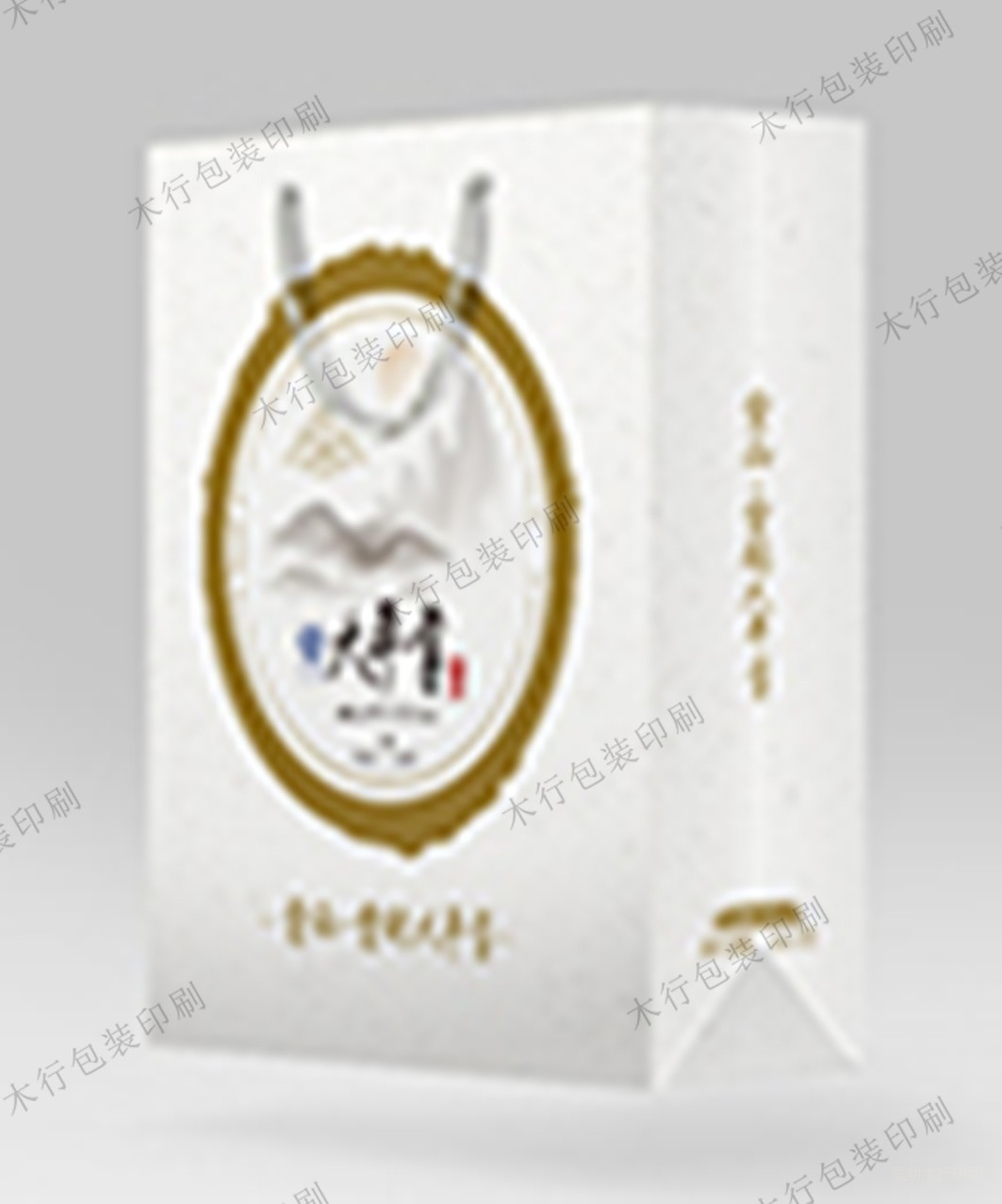 【简易手提袋用材】白卡纸手提袋印刷-领航国际 【简易手提袋用材】白卡纸手提袋印刷-领航国际