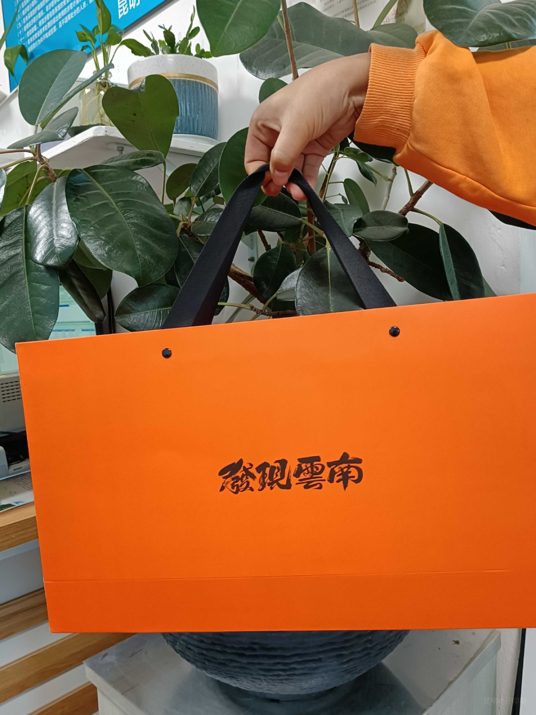 1669102920872808.png 领航国际 71a58