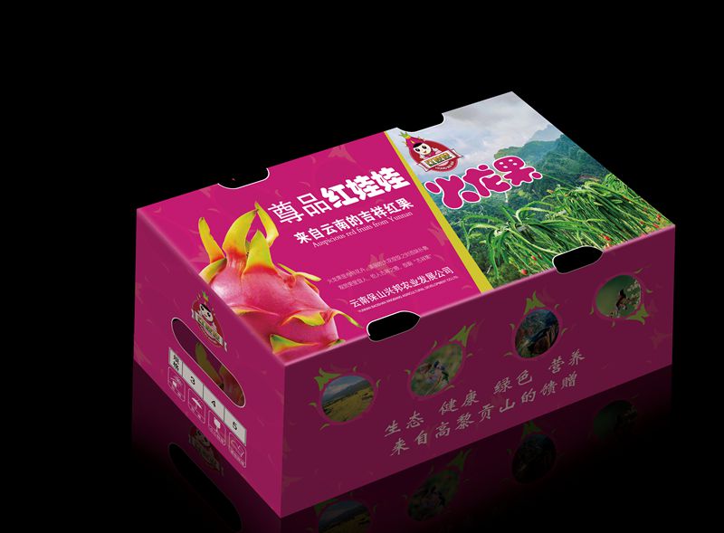 火龙果水果礼盒包装印刷