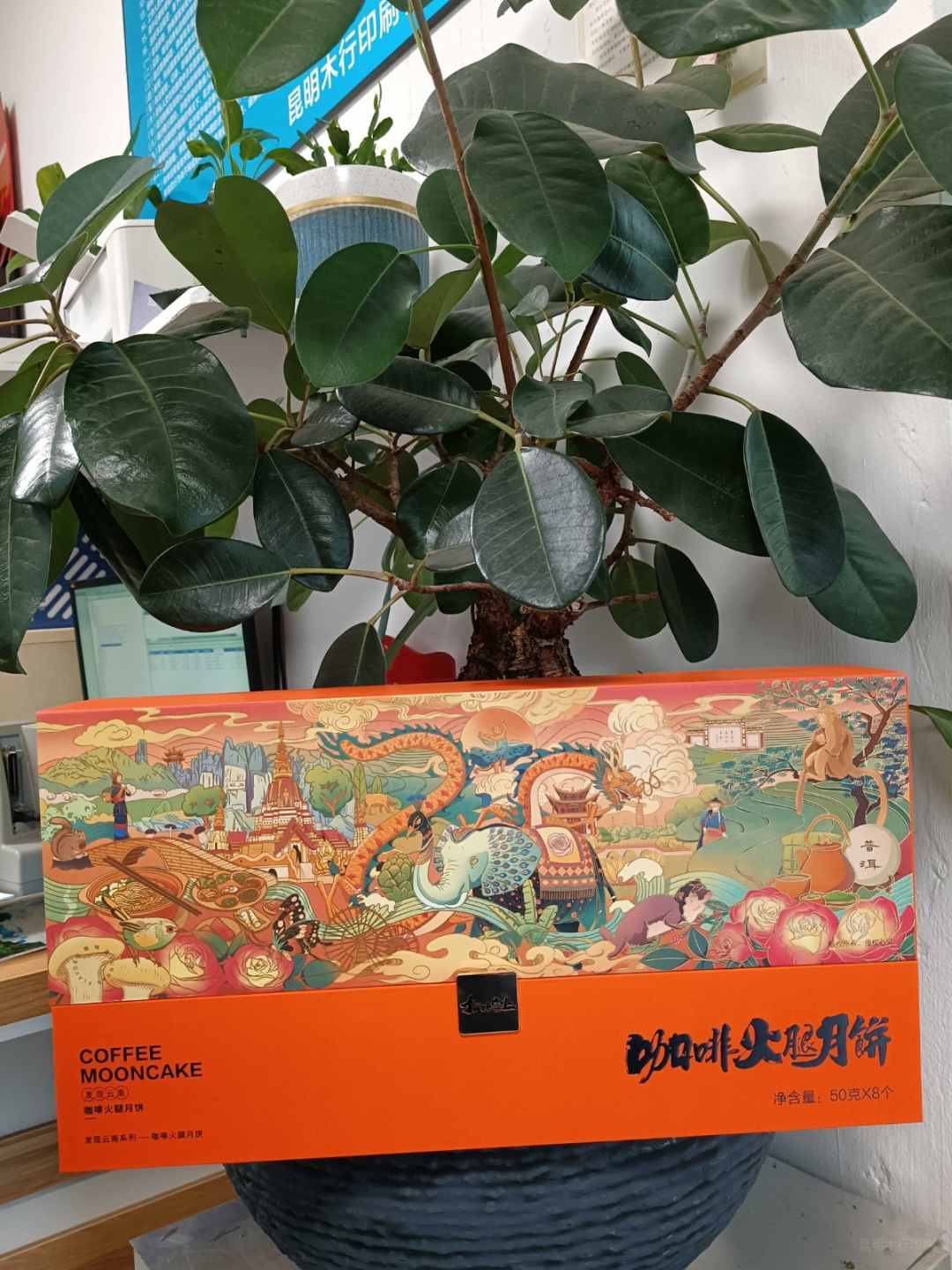 1669102521925630.png 领航国际 e6c0e